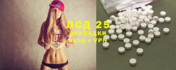 крисы Мегион