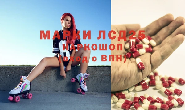 СК Магас