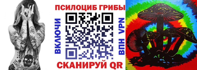 даркнет сайт  Бикин  Псилоцибиновые грибы Magic Shrooms 